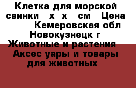 Клетка для морской свинки 42х30х36 см › Цена ­ 700 - Кемеровская обл., Новокузнецк г. Животные и растения » Аксесcуары и товары для животных   